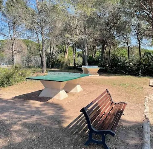 Vu Sur Piscine Daire Saint-Raphaël